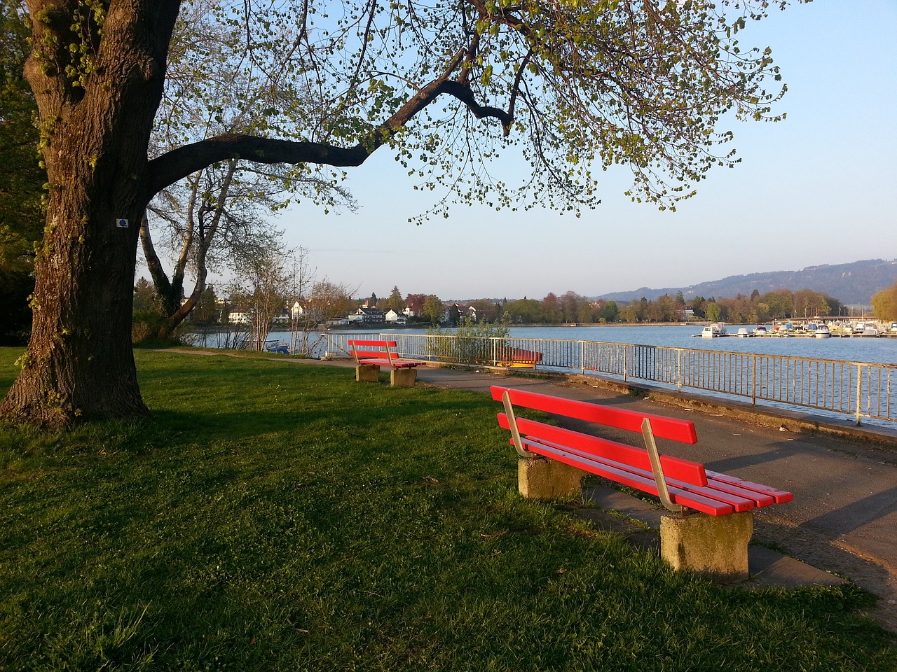 五大联赛仍有三支球队联赛不胜：狼队、维罗纳、佛罗伦萨